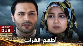 أطعم الغراب فيلم تركي مدبلج للعربية Besle Kargayı 