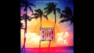 mr luu u0026 msk ibiza