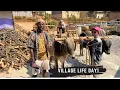 Download Lagu village life day1 why are you here
