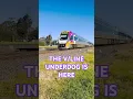 The underdog of is coming