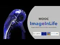 4 5 A bioimage analysis use-case object-tracking