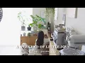 How I Spend a Cozy Day Off at Home Cooking Cleaning Simple Living