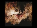 Shining - Framtidsutsikter