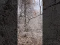 Listen to ice melting after the storm in Jackson Michigan