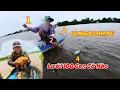 Download Lagu Thả Lưới Lần Đầu Tiên Nghe Một Lưới 100 Con Loài Cá Nầy Quá Khủng / Định Nguyễn Hậu Giang
