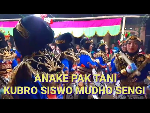 Download MP3 ANAKE PAK TANI KUBRO SISWO MUDHO SENGI