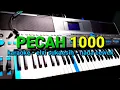 Download Lagu KARAOKE DANGDUT KOPLO //pecah 1000// NADA cewek //elvy sukaesih// by jampangpbg //psr670