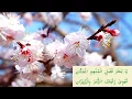Download Lagu Arabic Qaseedah Ya Aina Faizillahi