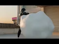 MeowSkulls Vore Animation no sound