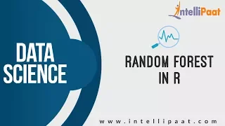 Random Forest in R R Tutorial Data Science Training Intellipaat
