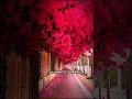 Download Lagu Asthetic status 🥀🌿tere sang gujar jaye | #music  #song #short #status #asthetic #lofi #trendingsong