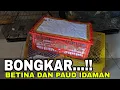 Download Lagu UNBOXING ‼️ EPISODE BETINA DAN PAUD IDAMAN