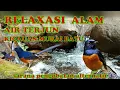 Download Lagu MASTERAN MURAI BATU DAN SUARA AIR TERJUN  MEMBUAT BURUNG DAN PEMILIKNYA SEGER ABIS DAN ANTI DEPRESI