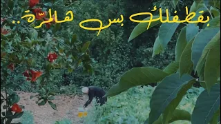 بقطفلك بس هالمرّة - فيروز (مع الكلمات)🌺