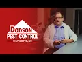 Dodson Pest Control Charlotte NC