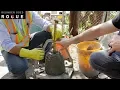 Download Lagu Concrete Slump Test - Tutorial