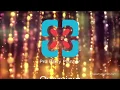 Pro Party Planner - Overview