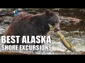 Best Alaska Cruise Excursions at Your Ports of Call in Alaska - The Planet D Alaska Vlog