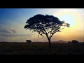 Olly Wall - Blue Sunrise (Official Music Video)