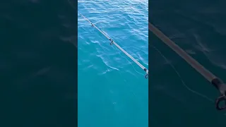 اتعلم صيد التسقيط في دقيقة من علي مركب في عرض البحر مع عم هشام الصياد المحترف 