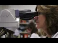 Quest Diagnostics