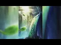Download Lagu Afterglow | w. Rainy Mood (Naruto Shippuden Movie)
