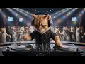 Download Lagu Dj pussy