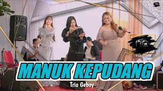 Download MANUK KEPUDANG MEDLEY II TRIO ica - Nay - Dewi Aweu II Live CIlengkrang MP3