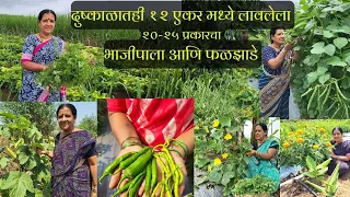 लिची ,अंबाडी ,घोसावले, शेवंती, मूग - चवळी ,लालमाठ ,पावटा ,गवार काटेरी भेंडी ,मिरची ,आंबे ,आवळा