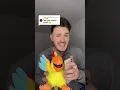 Download Lagu Papagalul meu cântă Theo Rose a venit poliția