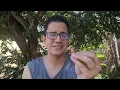 How to live with more ease and less pressure!
