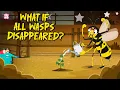 Download Lagu What if All Wasps Disappeared? | Why Do We Need Wasps? | Learn About Insects | Dr. Binocs Show