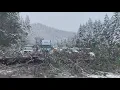 ODOT dashcam shows tree fall misses car on I-5