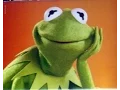 Jesse does Kermit the Frog