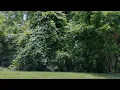 10 Fall Mountain Road Asheville North Carolina 28803