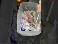 Fun Shaving Cream Painting Easy and Exciting Kids Activity For Moms Who Need a Minute