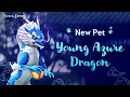 New Pet Young Azure Dragon Black Desert