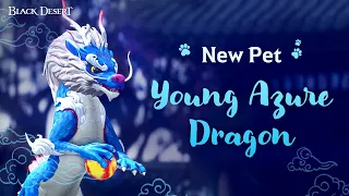 New Pet Young Azure Dragon Black Desert