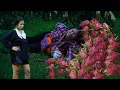 Download Lagu Picking dragon fruit in the rain, single mother lights up hope for her child