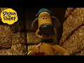 Lagu Party Dog!😲 | Shaun the Sheep Compilation | Shaun the Sheep \u0026 Friends