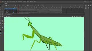 Edit Multiple Frames Explanation