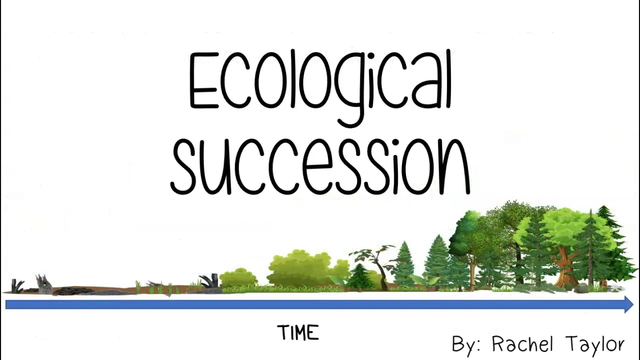 Ecological Succession