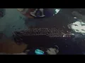 Gaspard Augé - Hey! (Official Audio) - Justice & Gaspard Augé