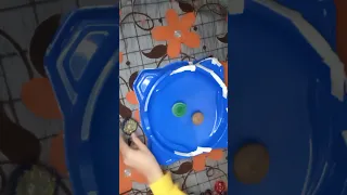 دوري فرقاء الألوان بين بلابل البرست تحطم شبح الهلاك نزالات أسطورية وبرستات خرافية 