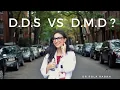 What is the difference between DDS DMD