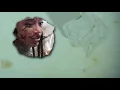 SZA - The Anonymous Ones (Official Lyric Video) [from Dear Evan Hansen  Motion Picture Soundtrack]