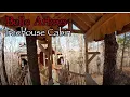 Belle Arbres Treehouse at Branson Treehouse Adventures