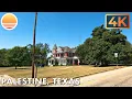 Palestine Texas Drive with me through a Texas town in Anderson County