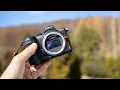 Nikon Z5 in 2025 - Still Worth It