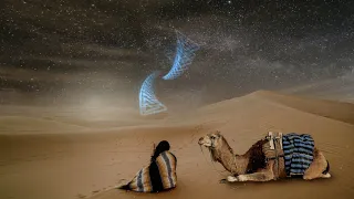                          دندنها